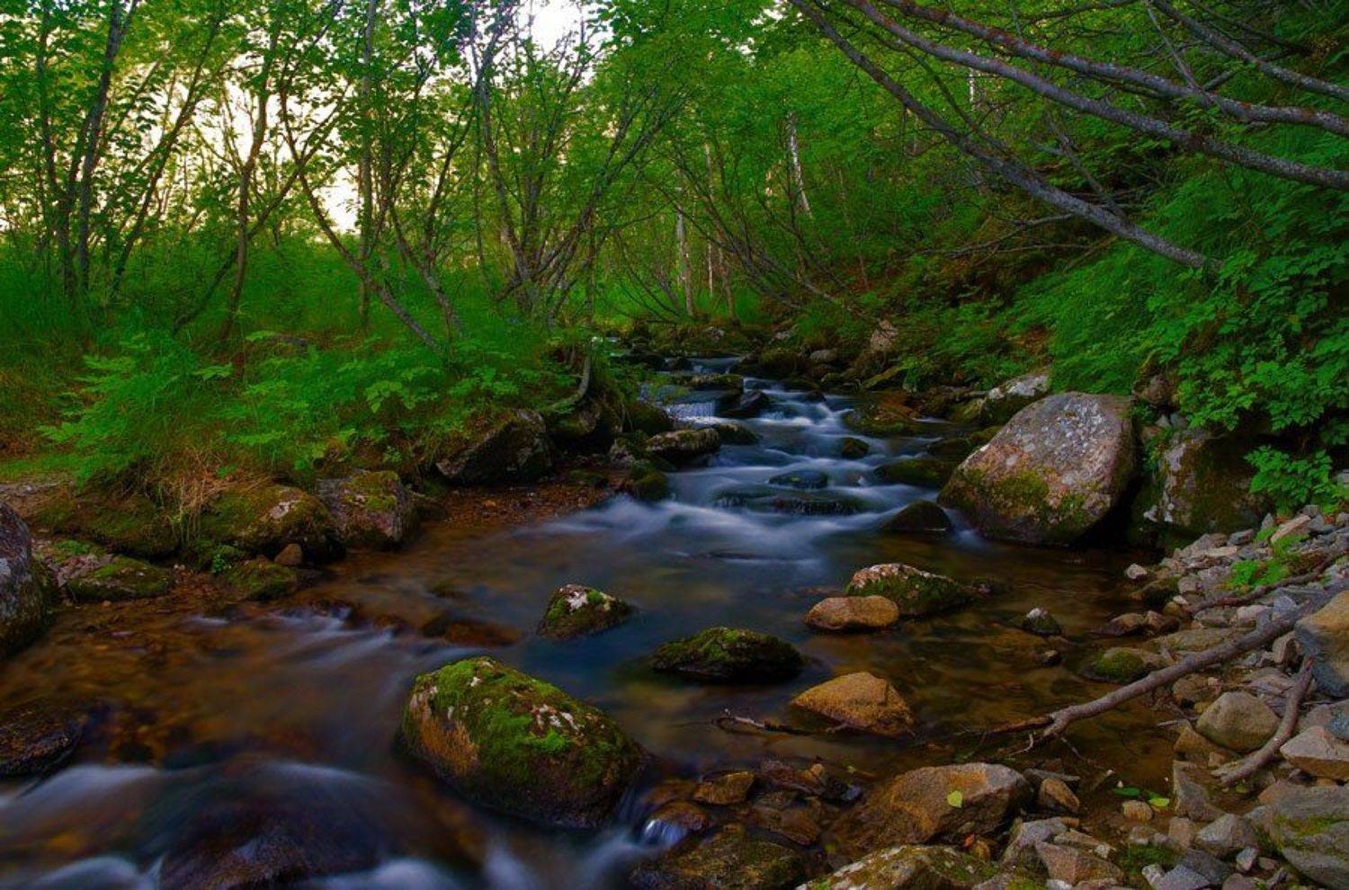 холодный, Voldemar