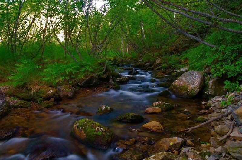 холодный Ручей Холодный фото превью