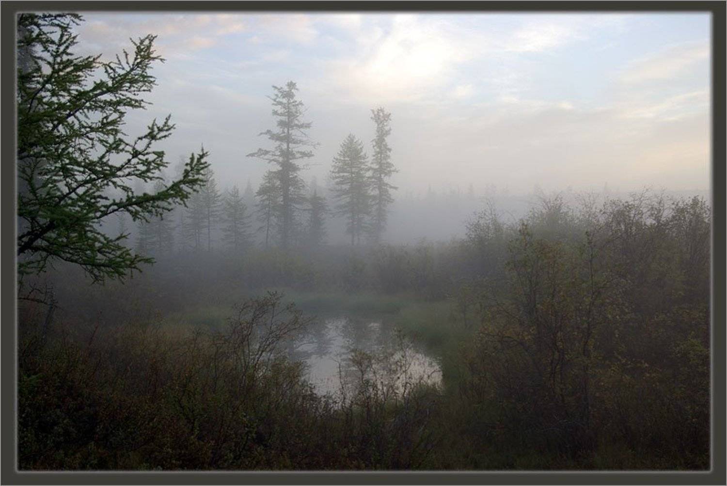 утро,туман,тайга,якутия, Солодухин Виктор