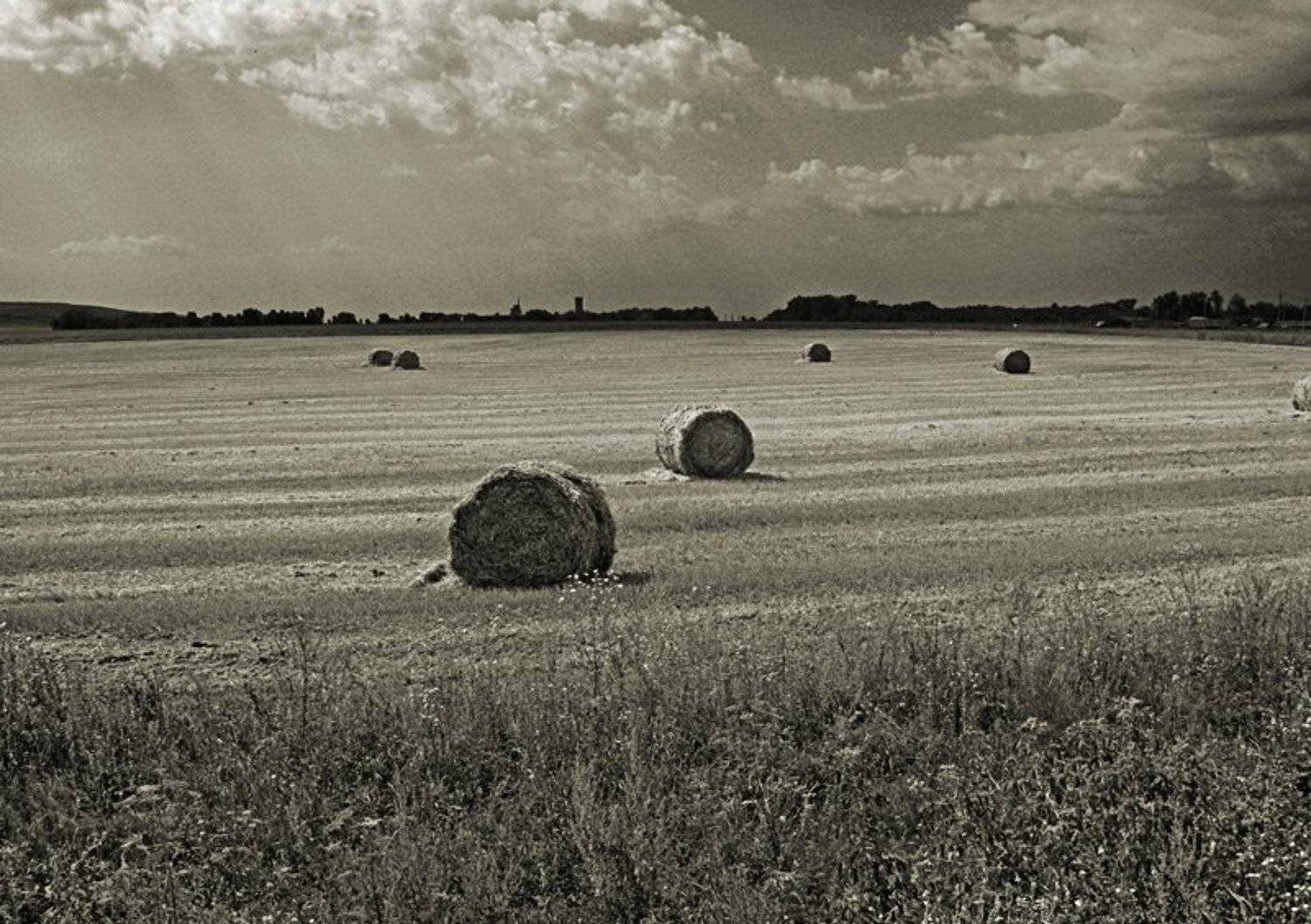 пейзаж, Патрикеев Александр