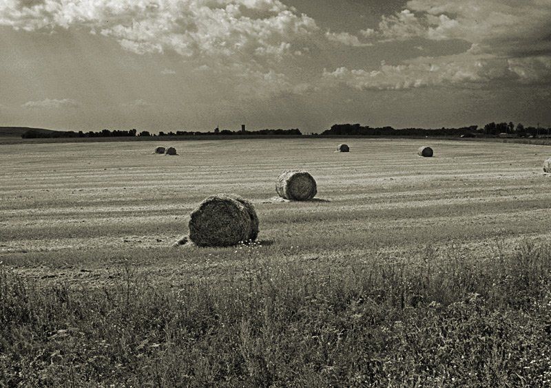 пейзаж Уборочная фото превью