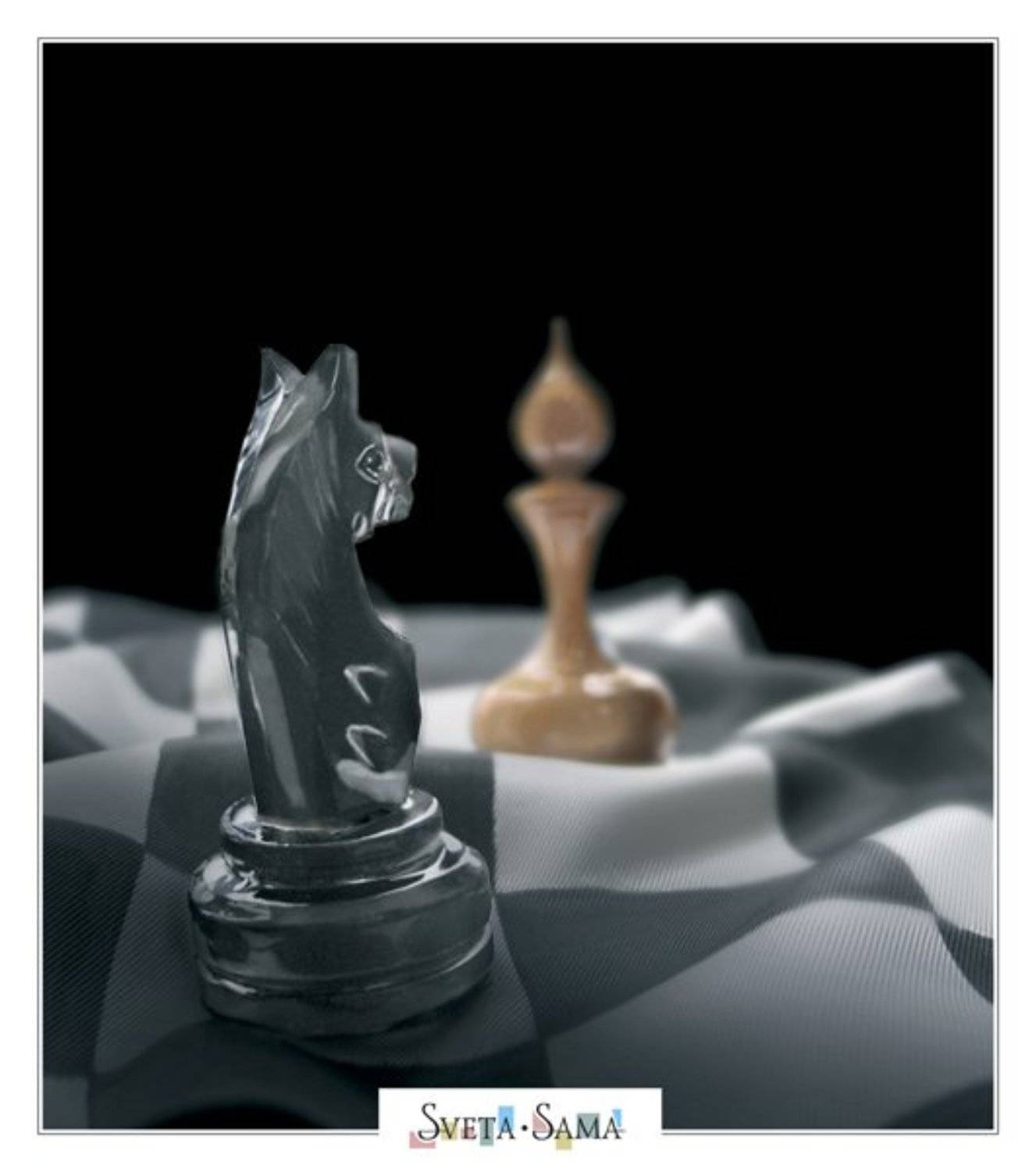 &laquo;бороться, не сдаваться&hellip;&raquo;, Света Ошметкова