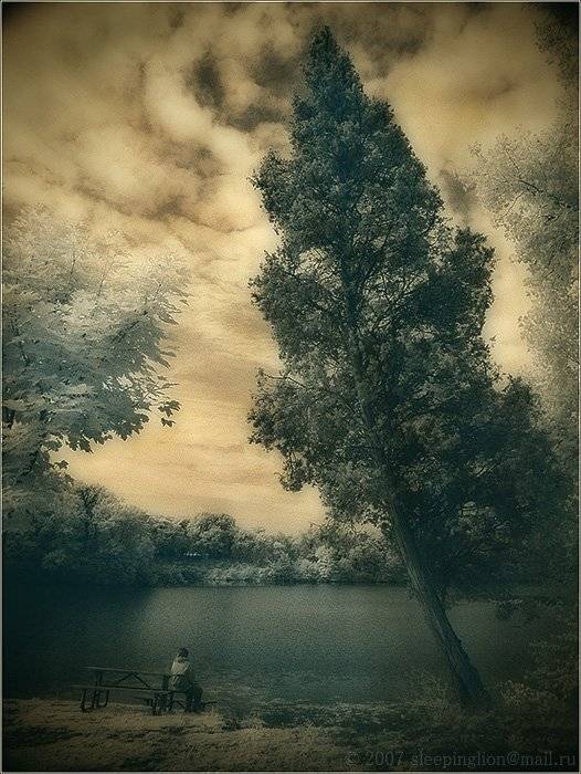 ик, пейзаж, infrared, инфракрасный, инфракрасное, pilgrim, Pilgrim