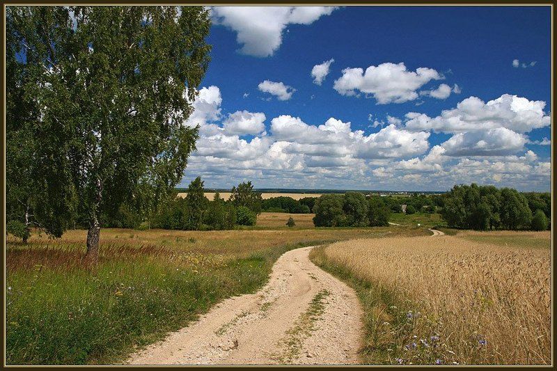 Дорожка фото превью