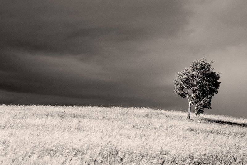 , Дмитрий Плотникофф