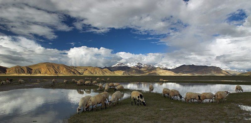 fotomafia, тибет,гималаи Гималаи фото превью