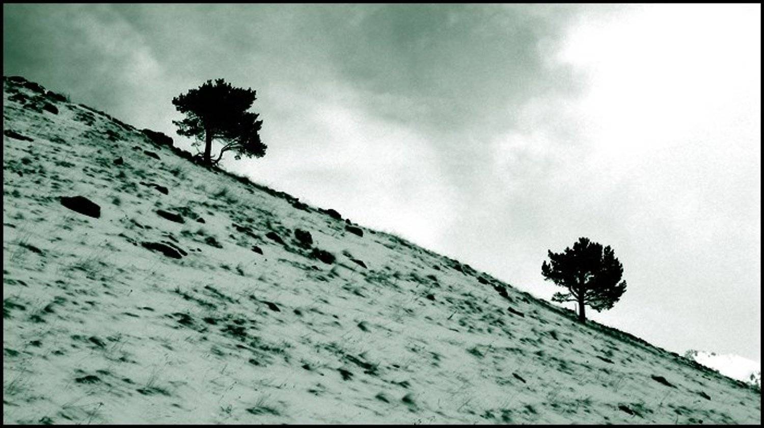 домбай, снег, горы, зима, небо, Gemini