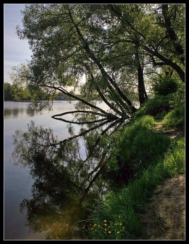 Полдень фото превью