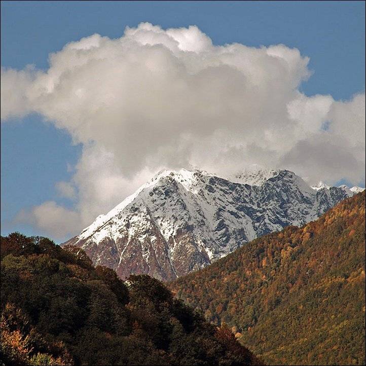 , Тарасов Алексей