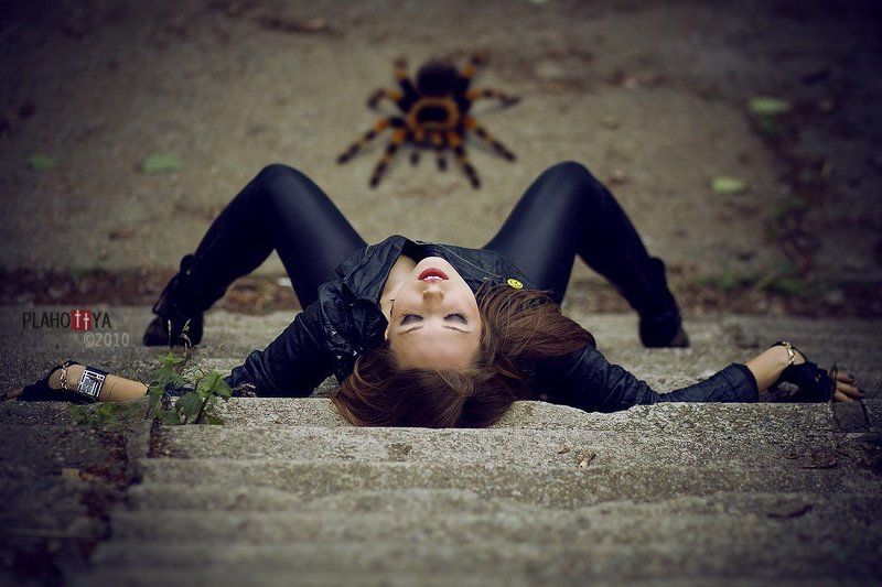 Павелительница пауков фото превью