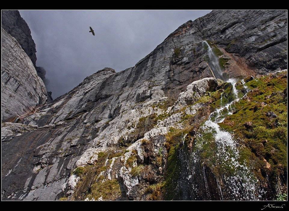 , Тарасов Алексей