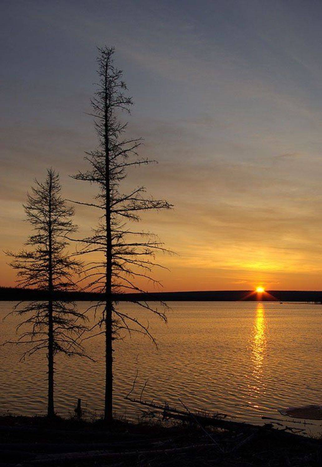 река, весна, рассвет, север, Солодухин Виктор