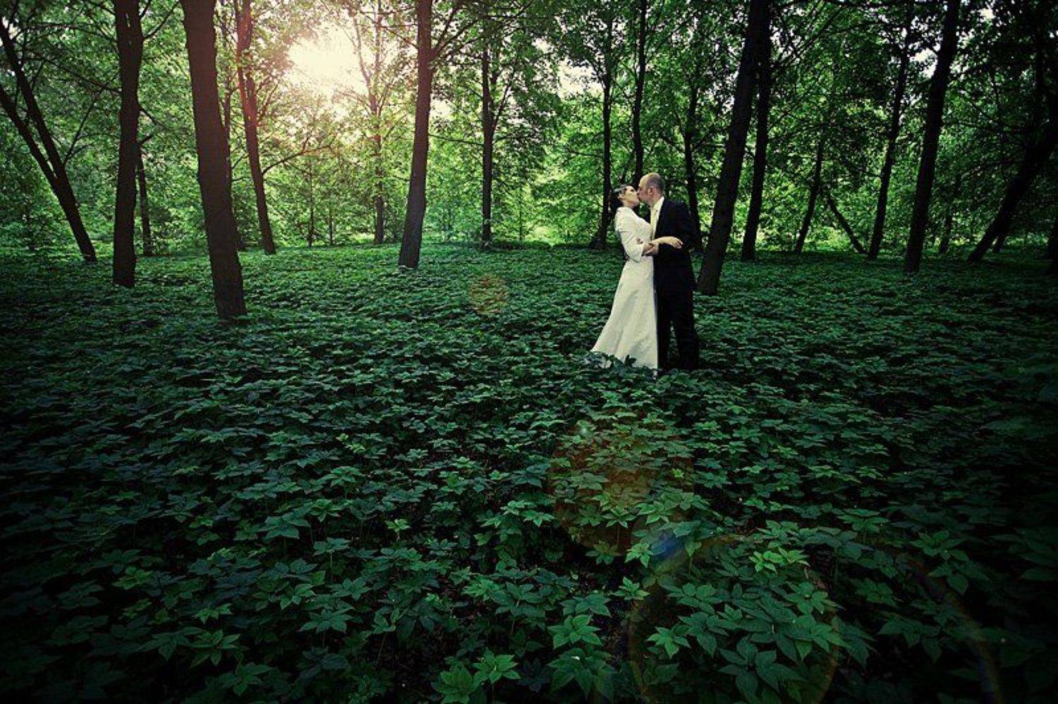 лес, ковер, молодые, Yaroslav V. Kloos