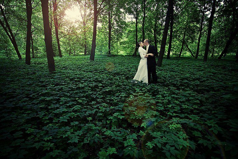 лес, ковер, молодые Наедине фото превью