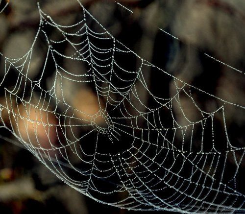 Ажурные сети