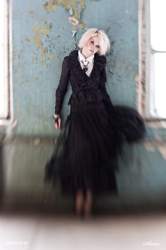 Птица по имени Даша фото превью