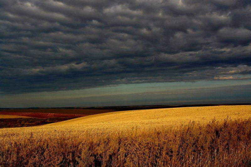 утро, алтай \