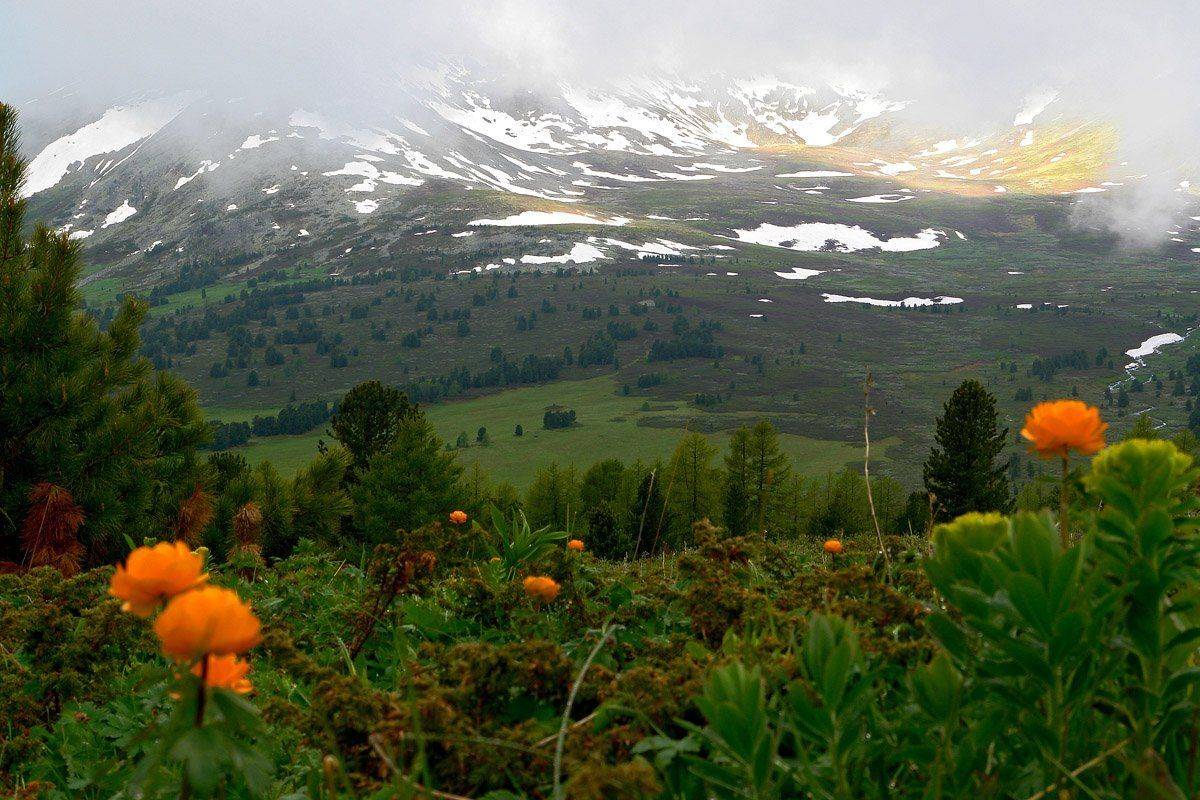 горный, алтай, теректинский, хребет, лето, Наталья Кайзер