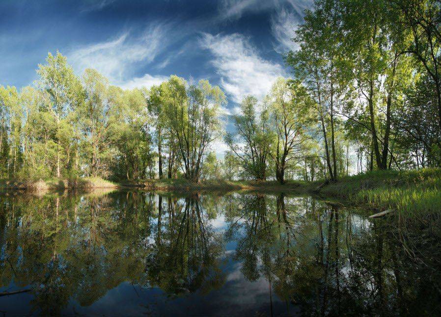 , Эдуард VTORNIK  Николаев