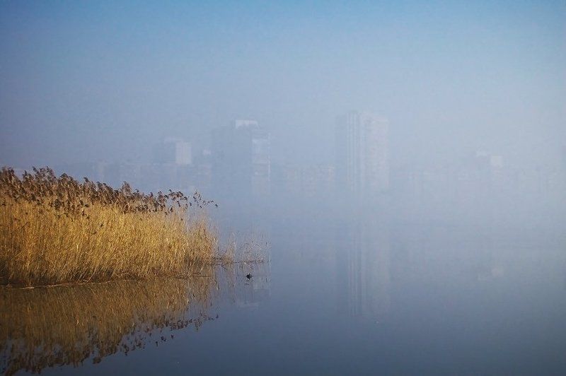 туман, утро утро утреннее... фото превью