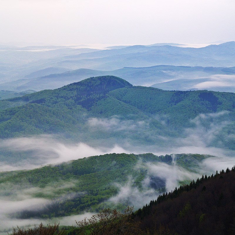 карпаты, боржава ... фото превью