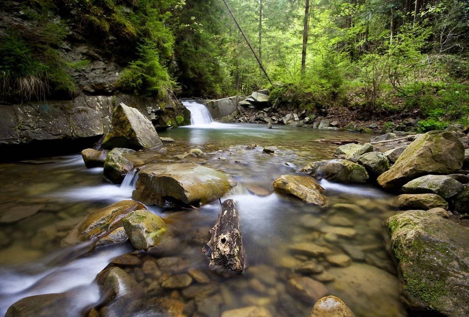 , Токарь Дмитрий