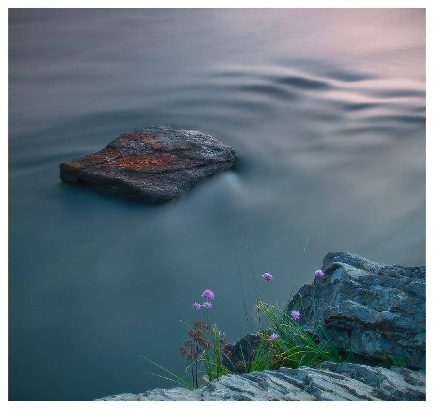 , Денис Кривой