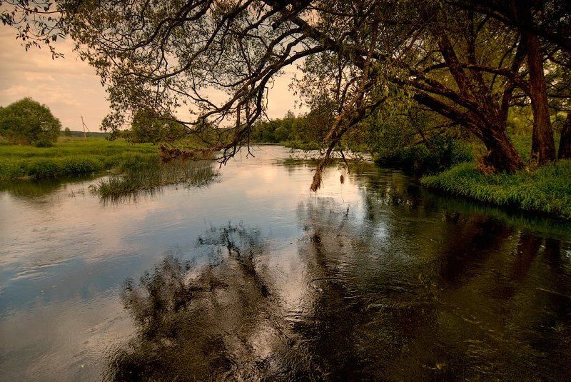 р. Протва фото превью