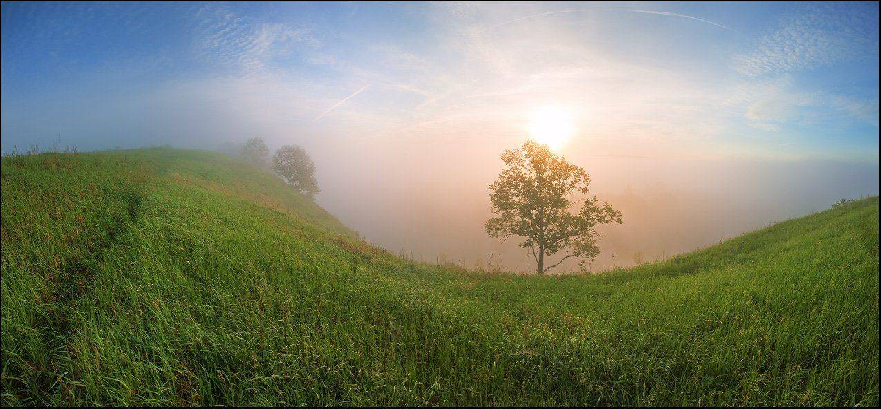 красивая, меча, Андрей Уляшев (Mercand)