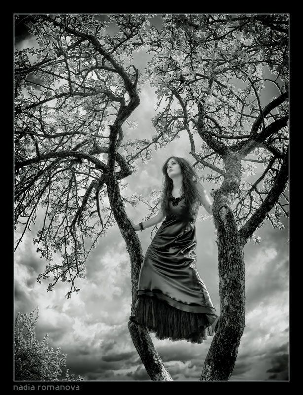 witch blossoms witches фото превью