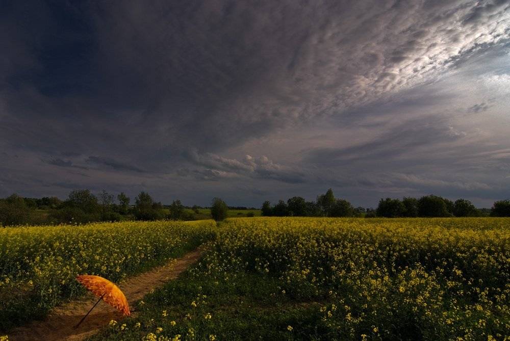 , Александр Титаренко