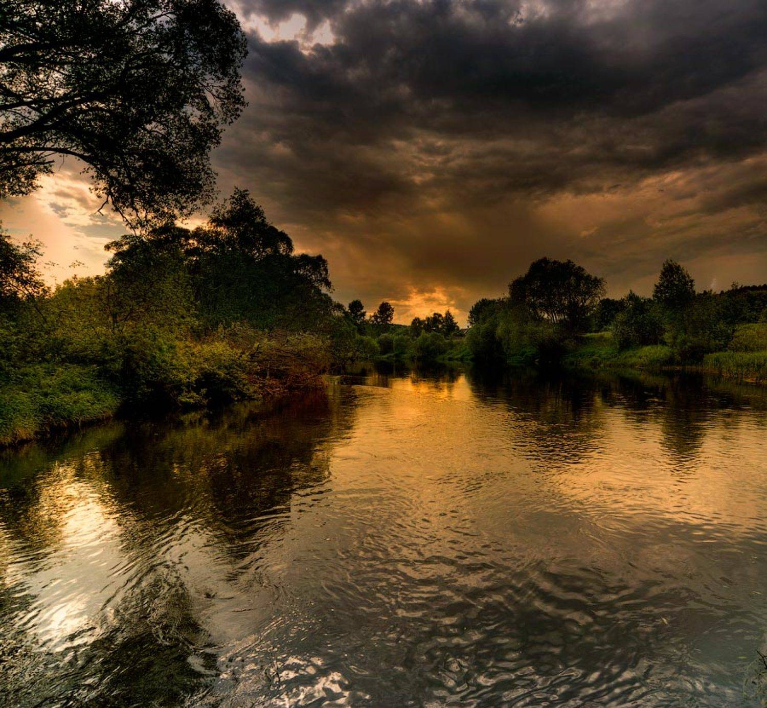 , Дмитрий Милосердов