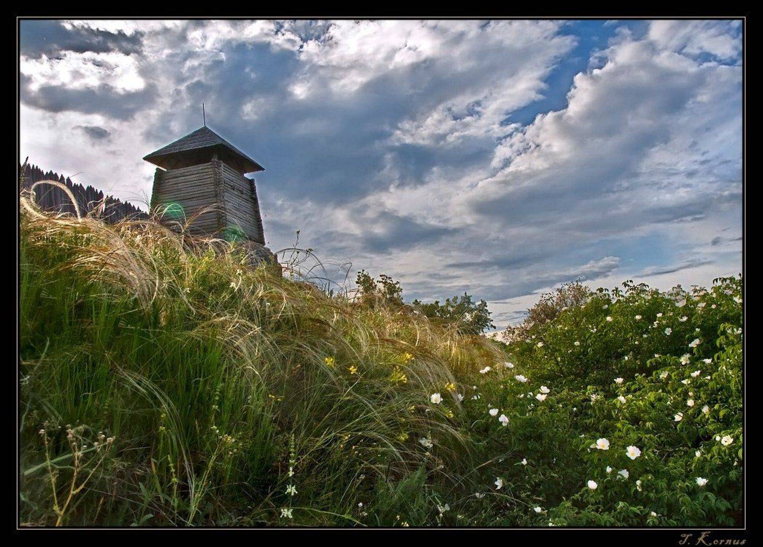 о.хортица,заповедник,музей,крепость,ковыль, Татьяна Корнус