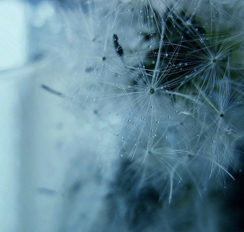 Какие тайны хранит эта бриллиантовая россыпь звёзд? ... фото превью