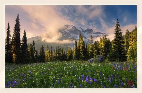 In God's Garden II