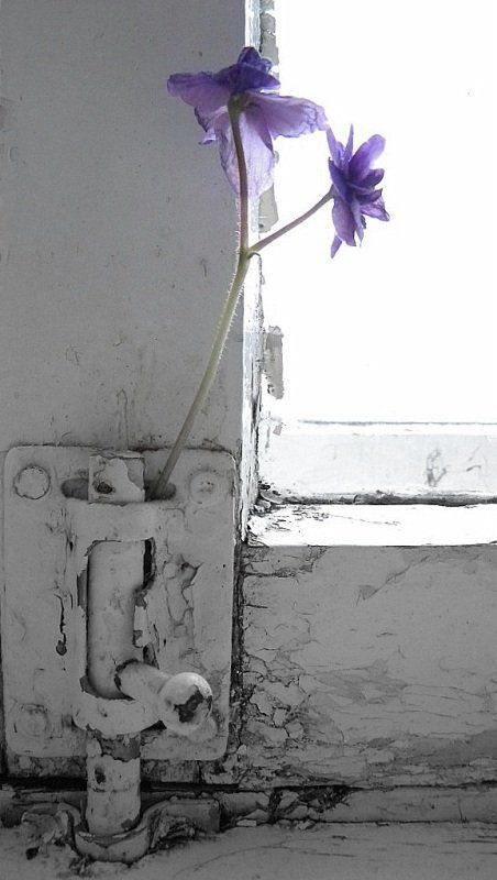 Ожидание конца и начала фото превью