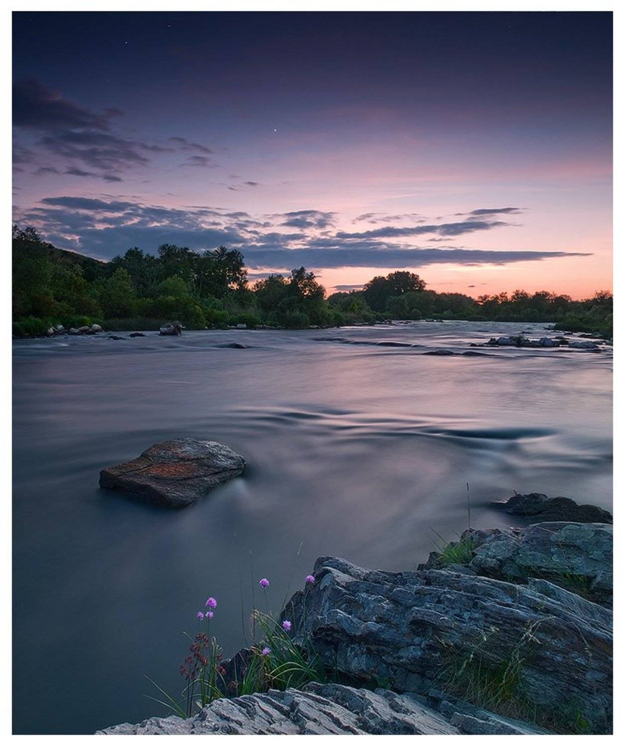 , Денис Кривой