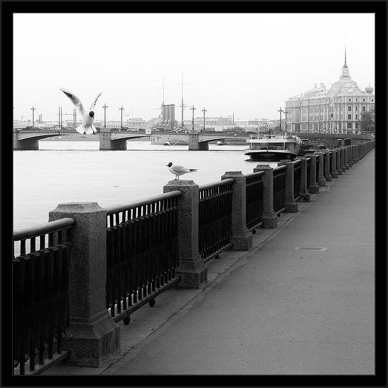 петербург, центр.ю набережная, нева, Kirill Shapovalov