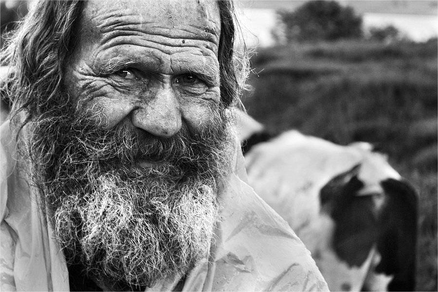 дедушка, пастух, дождь, Kopychko Mihail