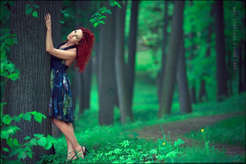 The wood symphony фото превью