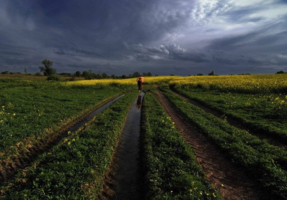 , Александр Титаренко