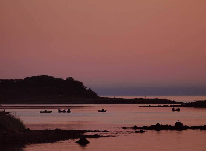 пейзаж, белое, море, соловки, николай дмитрук