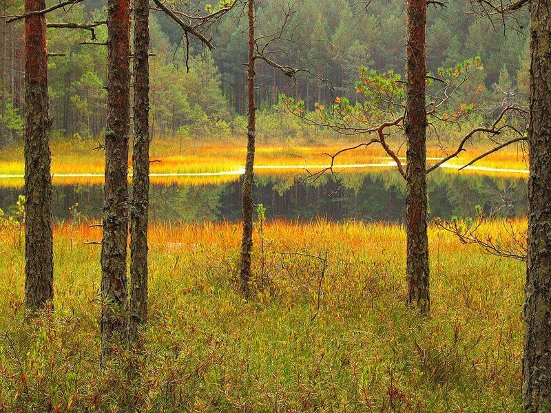 псковская область, национальный парк себежский *** фото превью