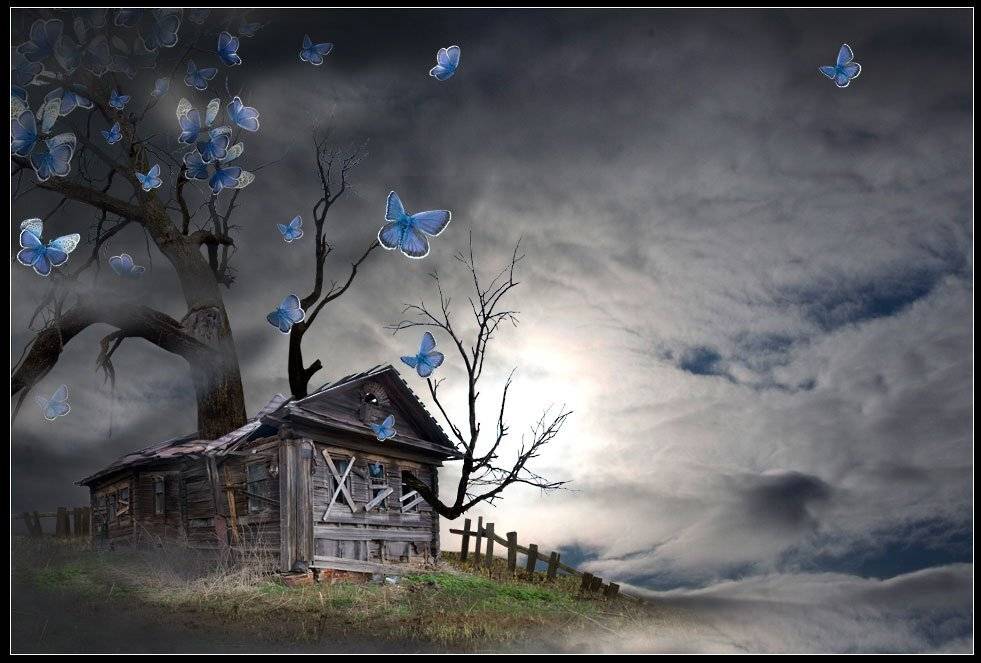 бабочки, фантазия, старый дом, Светлана