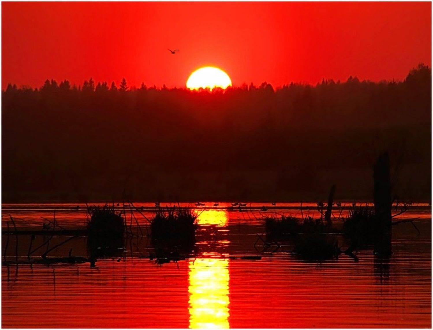 закат,небо,солнце,пейзаж,удмуртия,пруд, Андрей,любитель 35photo