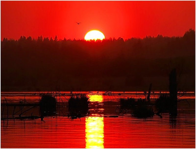 закат,небо,солнце,пейзаж,удмуртия,пруд Успеть до заката... фото превью