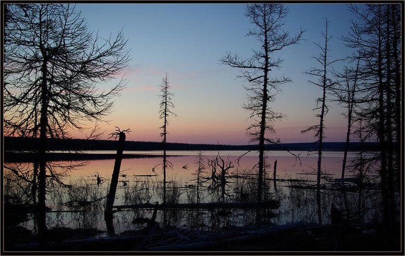 тайга, озеро, весна, ночь Графика заката фото превью