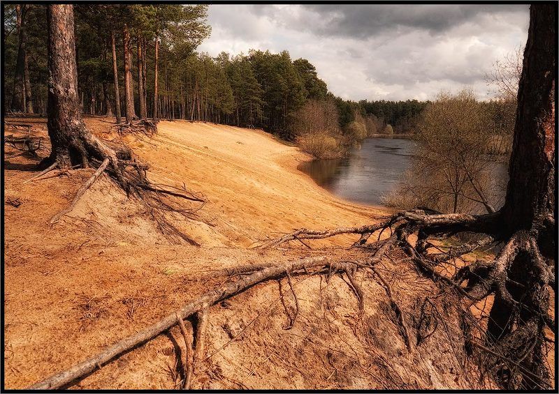 Золотой пляж фото превью