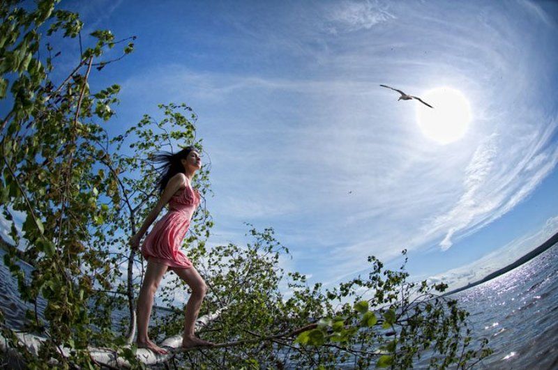 Упавшая с берега береза.. фото превью