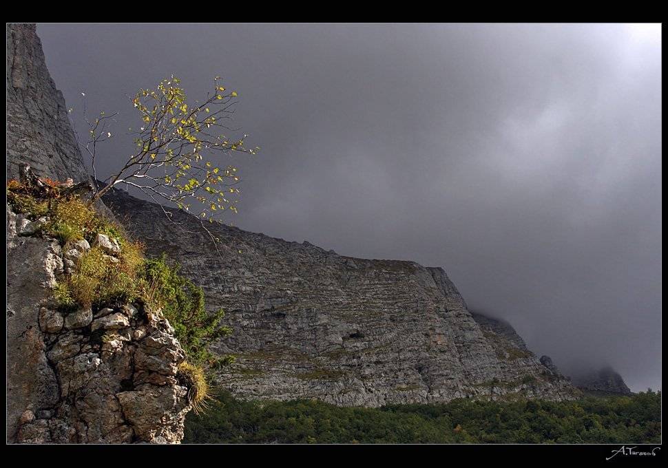 кавказ, фишт, Тарасов Алексей